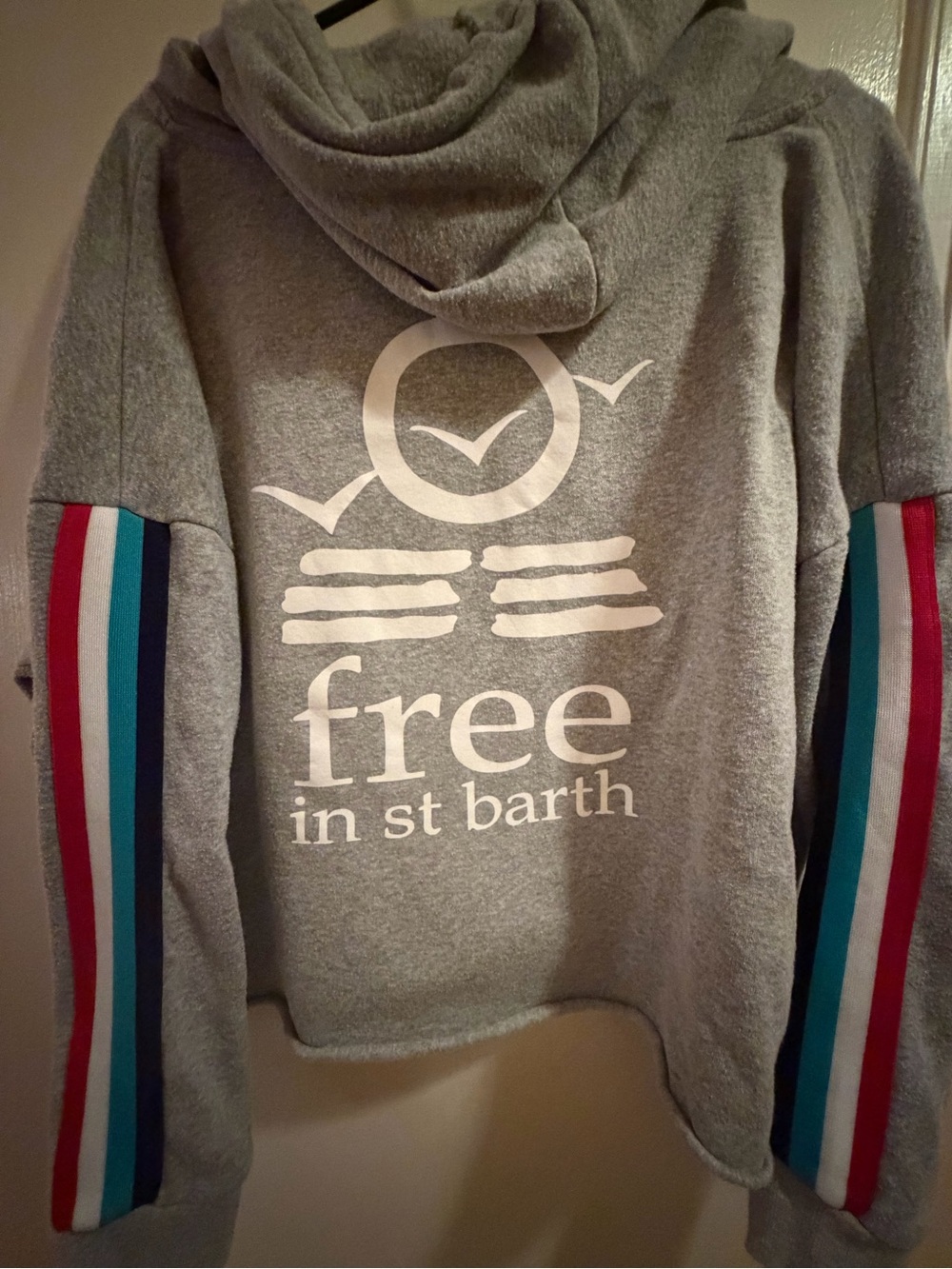 Crop top Hoodie Gray Hoodie with Multicolor Sleeve Stripes